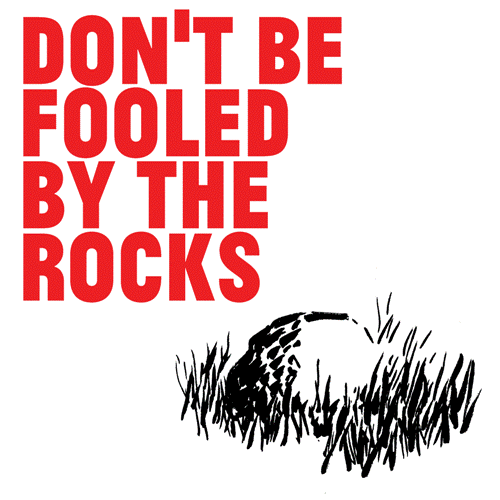 Don't-be-fooled-01